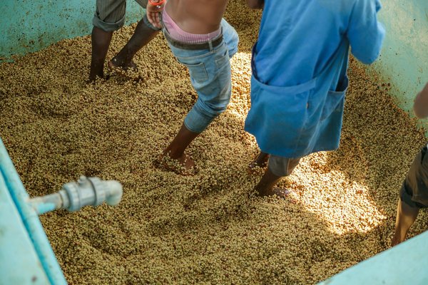 Quelles stratégies de marketing de contenu sont les plus adaptées pour une entreprise de recyclage innovante?